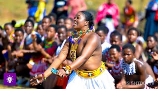 10 wild african dance festival | Celebrating African Cultural Richness