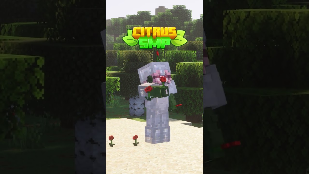 Why YOU Should Join this Cozy Survival SMP! #smp #minecraft #citrussmp