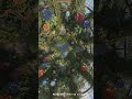 D&D | Queen's Garden Part 4 No Grid | Animated Battle Maps