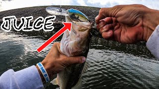 Did I Find the WINNING PATTERN??? Practice day (Tourney Season 2022)