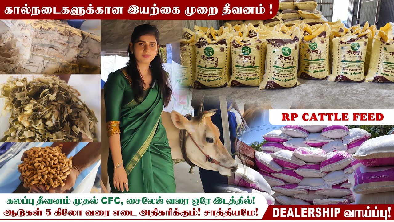 🐄இந்த 3 Combo தீவனம் போதும்! வேற எதுவும் வேண்டாம்!😱 ஆறு வகையான தீவனம் ஒரே இடத்தில் ❗