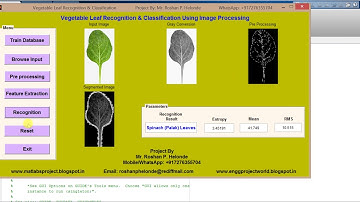 Matlab Code for Vegetable leaf Recognition using image processing