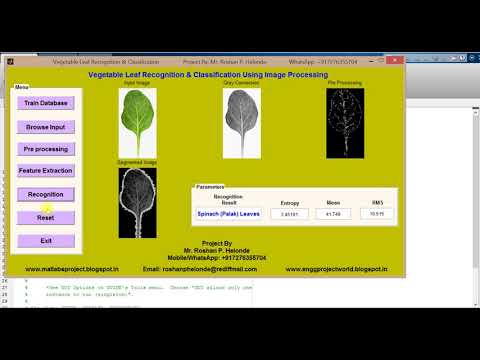 Matlab Code for Vegetable leaf Recognition using image processing