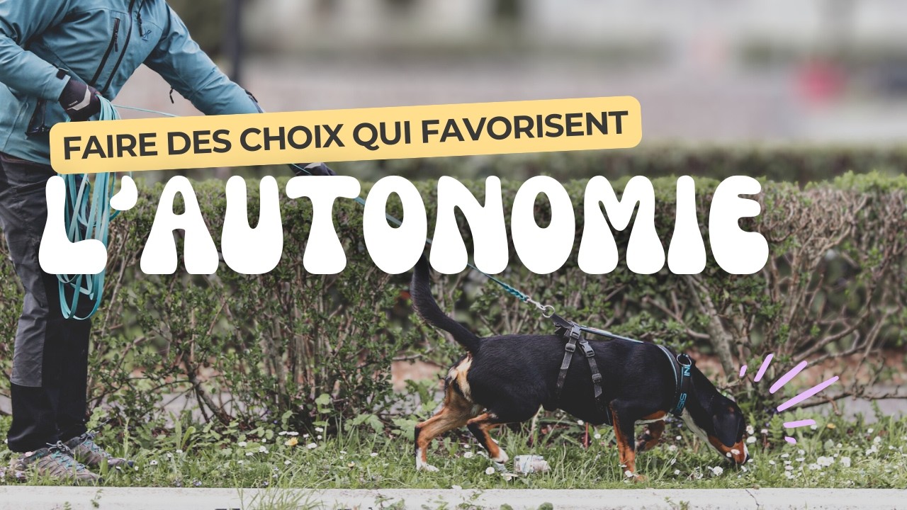 Favoriser l'autonomie du chien