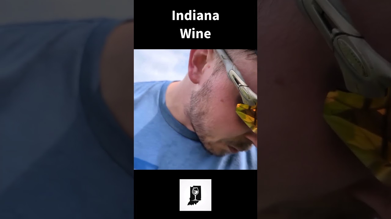 Growing Wine Grapes in Indiana 
