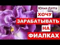 Бизнес на фиалках. Хочу зарабатывать на фиалках. Сколько нужно сортов фиалок. Юлия Датта