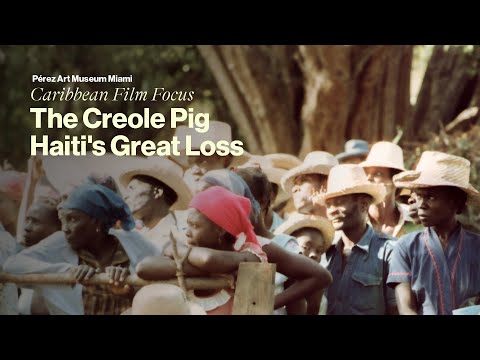 Caribbean Film Focus