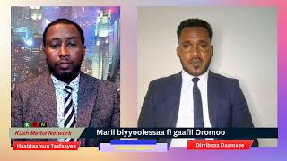 Gidiraa Ummataa fi marii biyyoolessaa turti Dirribsaa Daamxee waliin