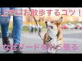 【世界のワンちゃん】犬がリードを引っ張るのはなぜ？