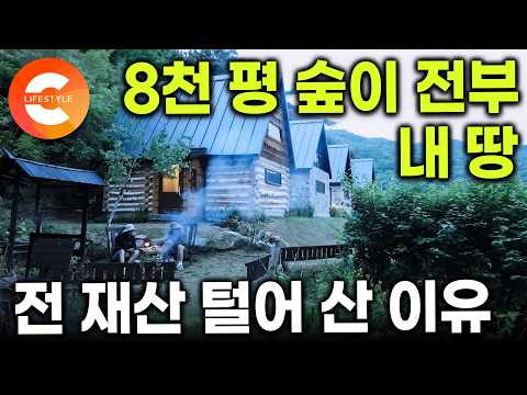전재산 털어 8천 평 숲을 전부 샀다. 콩밭이었던 땅에 30년 동안 나무를 심은 남자의 큰 그림ㅣ홍천 트리하우스ㅣ#한국기행