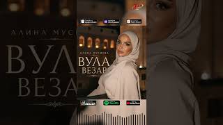ПРЕМЬЕРА! Алина Мусиева - Вула везар (2026)  #blackkavkazhd #музыкаонлайн #музыка #топ