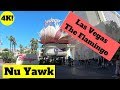 Flamingo & Margaritaville Las Vegas: Full Walkthrough ...