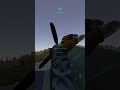 I got chased by a Boeing in DayZ