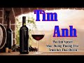Huy Tâm Channel - TÌM ANH - Thơ Ánh Nguyệt (Lyric)
