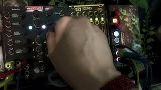 Expert Sleepers - DISTING MK4 [Line Imput Failed, Sound from Telephone]
