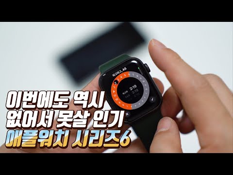 애플워치 시리즈6 국내버전 개봉기 이번에도 없어서 못살 인기