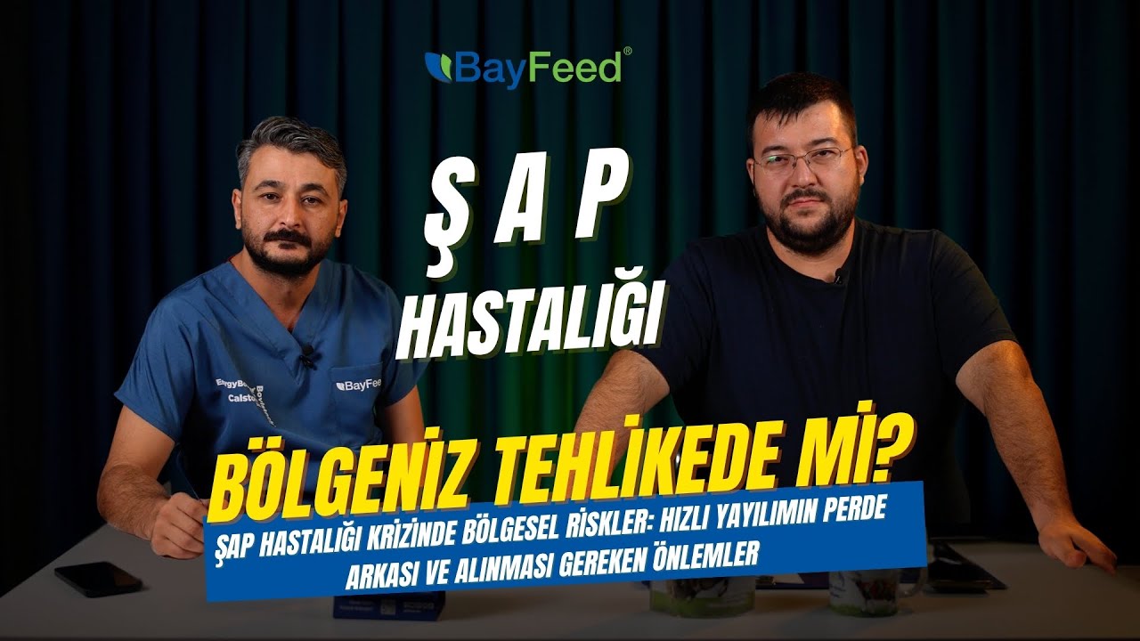 Şap Hastalığı: Uzman Veteriner Hekimler Uyarıyor! Aşı, Korunma Bölgedeki SON DURUM (Ödemiş/Bayındır)