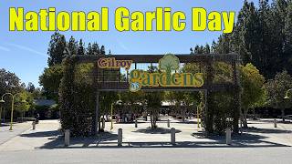 National Garlic Day at Gilroy Gardens | trying garlic ice cream for the first time
