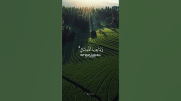 تلاوة شجية بصوت الشيخ #محمد_أيوب | مَا عِندَكُمْ يَنفَدُ ۖ وَمَا عِندَ ٱللَّهِ بَاقٍۢ ۗ |#quran