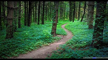 peace   P4  Flash File  MT6572