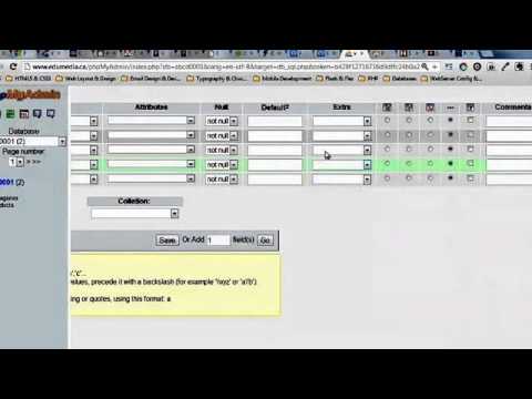 Creating Tables in phpMyAdmin Tutorial