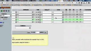 Creating Tables in phpMyAdmin Tutorial