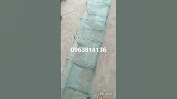 lú củ hàng đẹp.