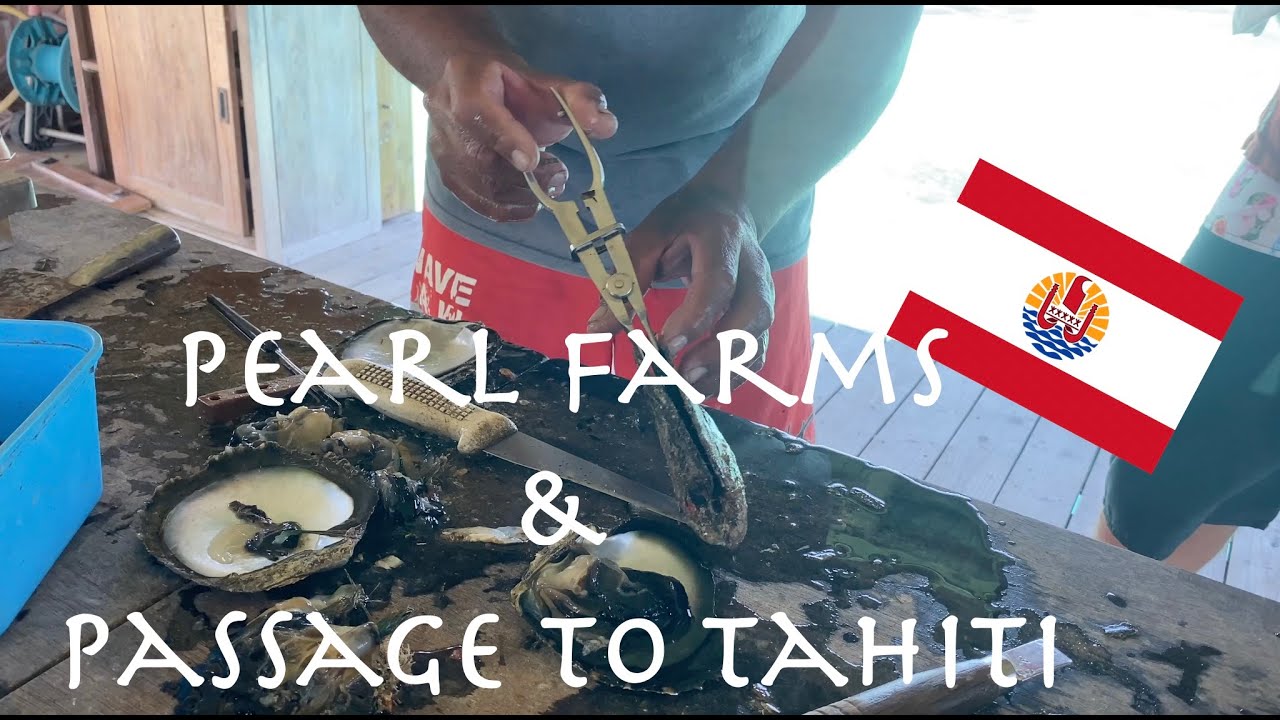 Ep. 91 -  Pearl Farms and Passage to Tahiti