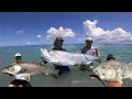 Mullet run madness florida mullet run 2021 tarpon snook jack