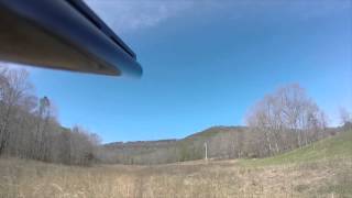 Quail Hunting 2015