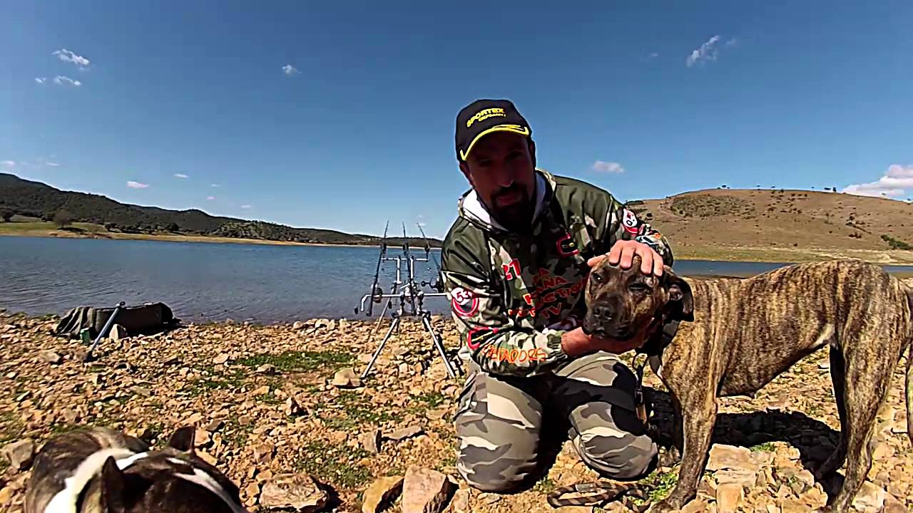 DALE CARRETE &CORTO PPP