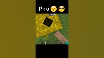 Minecraft NOOB vs PRO vs HACKER: MLG Clutch! | Ender dragon MLG | #minecraft #shorts