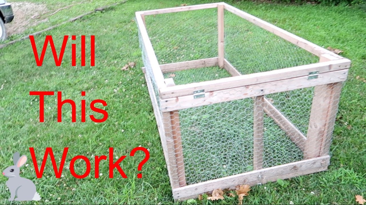 Making Room for Rabbits YouTube