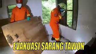 Terjun Langsung Evakuasi Sarang Lebah | BERANI COBA (12/01/22) Part 3