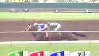 2004 Best Pal Stakes
