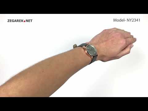 DKNY Pasek NY2341 SOHO - Zegarek.net