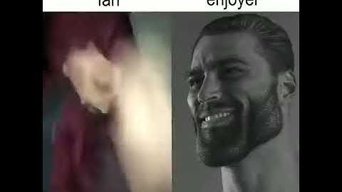 Average 60 FPS Fan vs 1 FPS Enjoyer