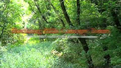 Introducing the Hocking Hills Canopy Tours Zip Line