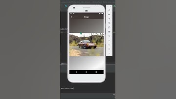Flutter Image Color Picker #flutter