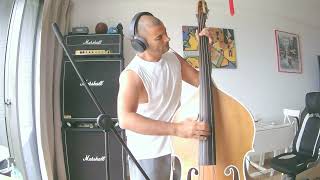 Imelda May - Johnny Got A Boom Boom (Double Bass Slap Cover)