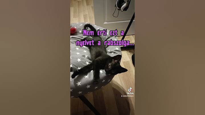 Vajon mit akart Lujza? 😺♥️ #cat #macska #cica #cuki #beszéd #magyar #hu #vicc #vicces #meme  #fun