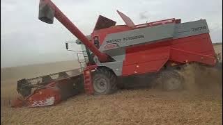 Harvesting 2022 on Rushley Island