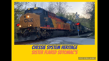 CSX Chessie System Heritage leads sister Flared MAC
