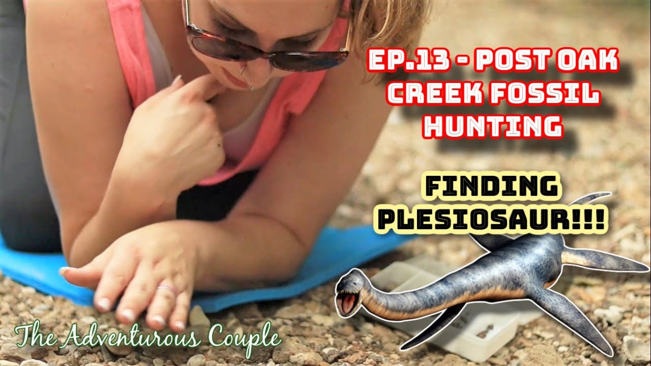 RARE Plesiosaur Find!! - Honeymoon Fossil Hunt - North Sulphur River & Post Oak Creek TX