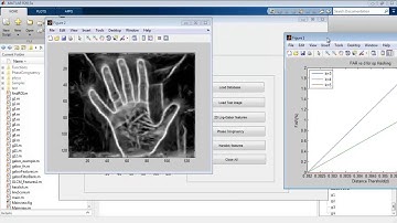 Palmprint Identification matlab projects