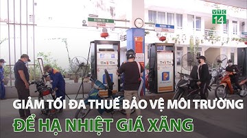 Cần giảm tối đa thuế bảo vệ môi trường để hạ nhiệt giá xăng | VTC14