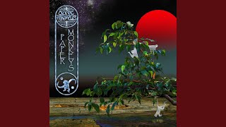 Video thumbnail of "Ozric Tentacles - Lost in the Sky"