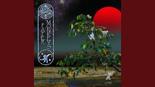 Video voorbeeld van "Ozric Tentacles - Lost in the Sky"