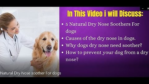 5 Natural Dry Nose soother For dogs