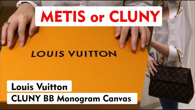 LV Cluny Mini #LVBag #LVCluny #LVClunybb #LVClunyMini #LouisVuitton #L